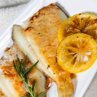 국내산 동해안 어획 반건조 두절 참가자미 5미